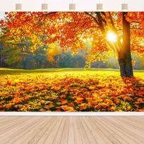 2D Glowing Autumn Sunlit Maple Tree Photography Background 47.2x31.5inch/120*80cm