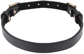 Sportsheets Collar Sportiniai bateliai – Sex & Mischief Dvigubos sagties dienos apykaklė