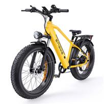 ENGWE E26 250W City Electric Bike , 48V 16Ah 25km/h 26 ×4.0  Tire Hydraulic Brake Max 140km Range Mountain Electric Bike