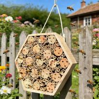 Distinctive Hexagonal Creature residence produced To Assist Nearby Helpful Flyers And Boost Environment In Your Outdoor Area 1