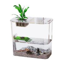 Small Turtle Tank Creative Turtle And Fish Terrarium Clear Tanks For Raising Turtles Fish Tanks For Raising Turtles Water And China Mainland