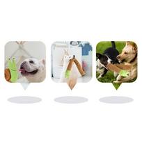 T02C!Pet Sniffing Toys Squeaky Interactive Toys For Foraging Instinct Training, Soft Puppy Toys