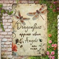Planetjuice Vintage Dragonfly Metal Art Wall Sign Rustic Decor for Garden Patio (as the picture,20x30)
