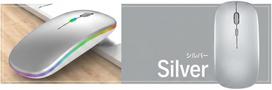 Professional Silent Wireless Mouse - Ergonomic Slim Design with RGB Lines (Silver)