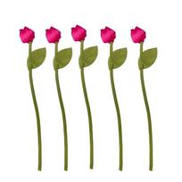 5PCS Handmade 3D Tulip Appliques Satin Clothing Patch Clothing Appliques  Clothes Decoration 5PCS