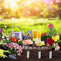 T02C!100PCS Plastic Flower Tubes Transparent Water Tube For Flowers, Reusable Flowers, Water Tubes (Transparent,NONE)