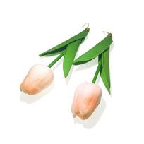 Hyperbole Tulip Flowers Long Earrings Simulation Flower Exaggerated Design Drop Earrings Multicolor Tulip Flowers Earring Women