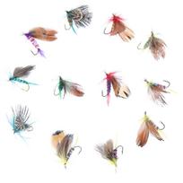 12Pcs Fishing Hooks Set Stainless Steel Fishing Lures Barbed Carp Hook Fishing Jig Lures for Saltwater Freshwater China Mainland