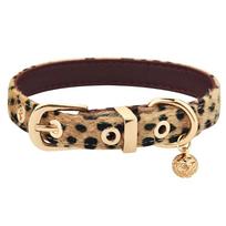 Leopard Print Choker Collar Female Niche Design Sense Sweet Cool Babe Wind Necklace Copper Bell Collarbone Collar Cool