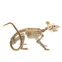 Gyvas Helovino rekvizitų rinkinys su žmogaus skeletu ir baisiais gyvūnų figūrėlėmis Mouse,35*9*6.5cm/13.78*3.54*2.56in