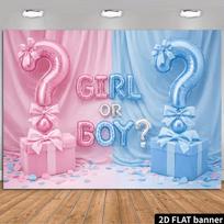 2D  Girl or Boy?  Gender Reveal Backdrop Photography Background 47.2x31.5inch/120*80cm