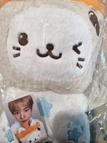 30cm Bubble Cat