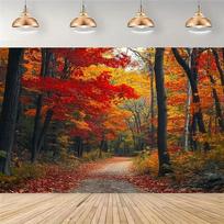 2D Vibrant Autumn Maple Forest Path Photography Background 47.2x31.5inch/120*80cm