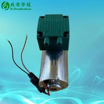 Vacuum pump DC12V Miniature air pump AC110V Small pump DC24V Inflating pump AC220V Beauty instrument negative pressure pump ZR5101PM AC 220V