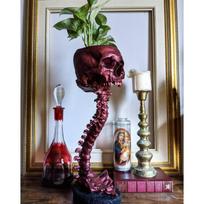 Skull Flowerpot  Skull Flowerpot Spine plytų raudona spalva