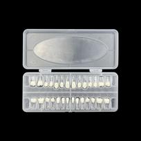 28pcs/set Endodontic Teeth Model Dental Practice Training Root Canal Model RCT Pulp Cavity Endo Teeth Block Dentistry Product