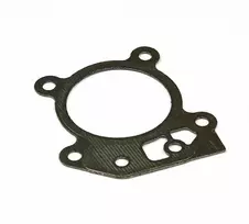 Cilindro galvutės tarpinė Briggs&Stratton 799586; 1 vnt.