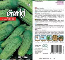 Kurzemes Seklas Agurkų sėklos Regina H 1g