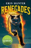 KNYGA Hunter, Erin Renegades: The Magic Awakens