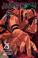 KNYGA Akutami, Gege Jujutsu Kaisen, Vol. 25