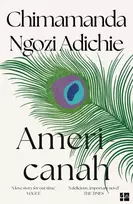 KNYGA Ngozi Adichie, Chimamanda Americanah