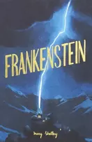 KNYGA Shelley, Mary Frankenšteinas