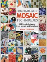 KNYGA Fitzgerald, Bonnie Compendium of Mosaic Techniques: 300 Tips, Techniques, Trade Secrets and Templates