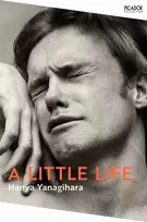 KNYGA Yanagihara, Hanya Little Life