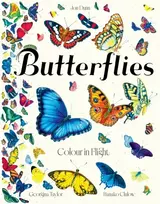 KNYGA Dunn Jon Butterflies: Colour in Flight