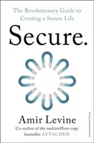 KNYGA Levine, Amir Secure: The Revolutionary Guide to Creating a Secure Life