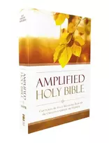 KNYGA Zondervan Amplified Outreach Bible, Paperback: Capture the Full Meaning Behind the Original Greek and Hebrew