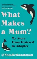 KNYGA a Fictional Mum, Not What Makes a Mum?: My Story From Fostered to Adopter