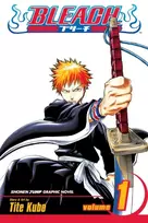 KNYGA Kubo, Tite Bleach, Vol. 1: Strawberry and the Soul Reapers