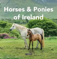 KNYGA O'Connor, Sarah Horses and Ponies of Ireland