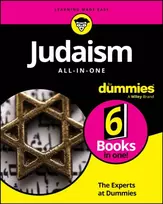 KNYGA The Experts at Dummies Judaism All-In-One For Dummies