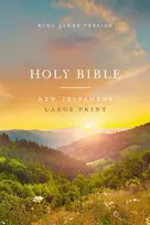 KNYGA Nelson, Thomas KJV Large Print Outreach New Testament Bible, Scenic Softcover, Comfort Print