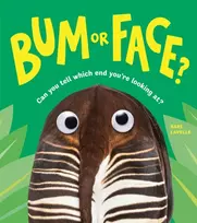 KNYGA Lavelle, Kari Bum or Face