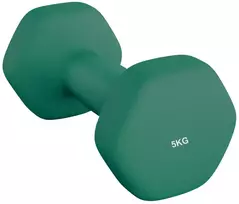 SONGMICS hanteliai, 2 vnt. rinkinys, 4kg, jėgos treniruotės, namuose, biure, sporto salėje, juodi