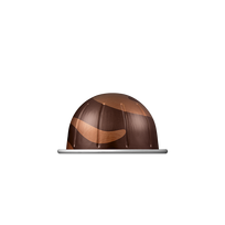 Kavos kapsulė Rich Chocolate