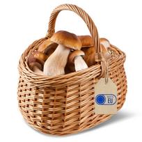 Didelis pintas krepšys grybams, pirkiniams, vaisiams, daržovėms