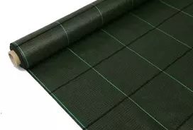 Agrotekstilė, UV stabilizuota, žalios sp., 100 g/m2, 3,3 x 10 m