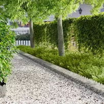 Vejo kraštas 10 pcs 103 x 25 cm Plienas Sidabrinė