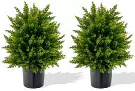 Dirbtinis kedro formos kamuolys 54,6 cm 2 vnt.