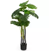 Dirbtinis Monstera medis 120.7 cm