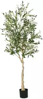 Dirbtinis alyvmedis 182.9 cm 1 vnt.