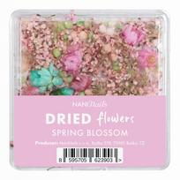 NANI dried flowers - Spring Blossom