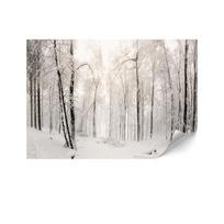 Fototapeta Flizelinowa Standard - 250 X 175 Cm - Styl Klasyczny - Natura