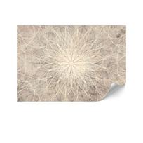 Fototapeta Flizelinowa Standard - 250 X 175 Cm - Styl Boho - Tła I Desenie