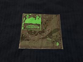 Unopened Grapefruit Apricot Club Bandana from Hanro