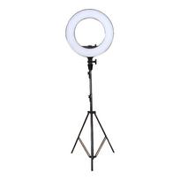 Godox LR180 LED Ring Light for Live Streaming Black